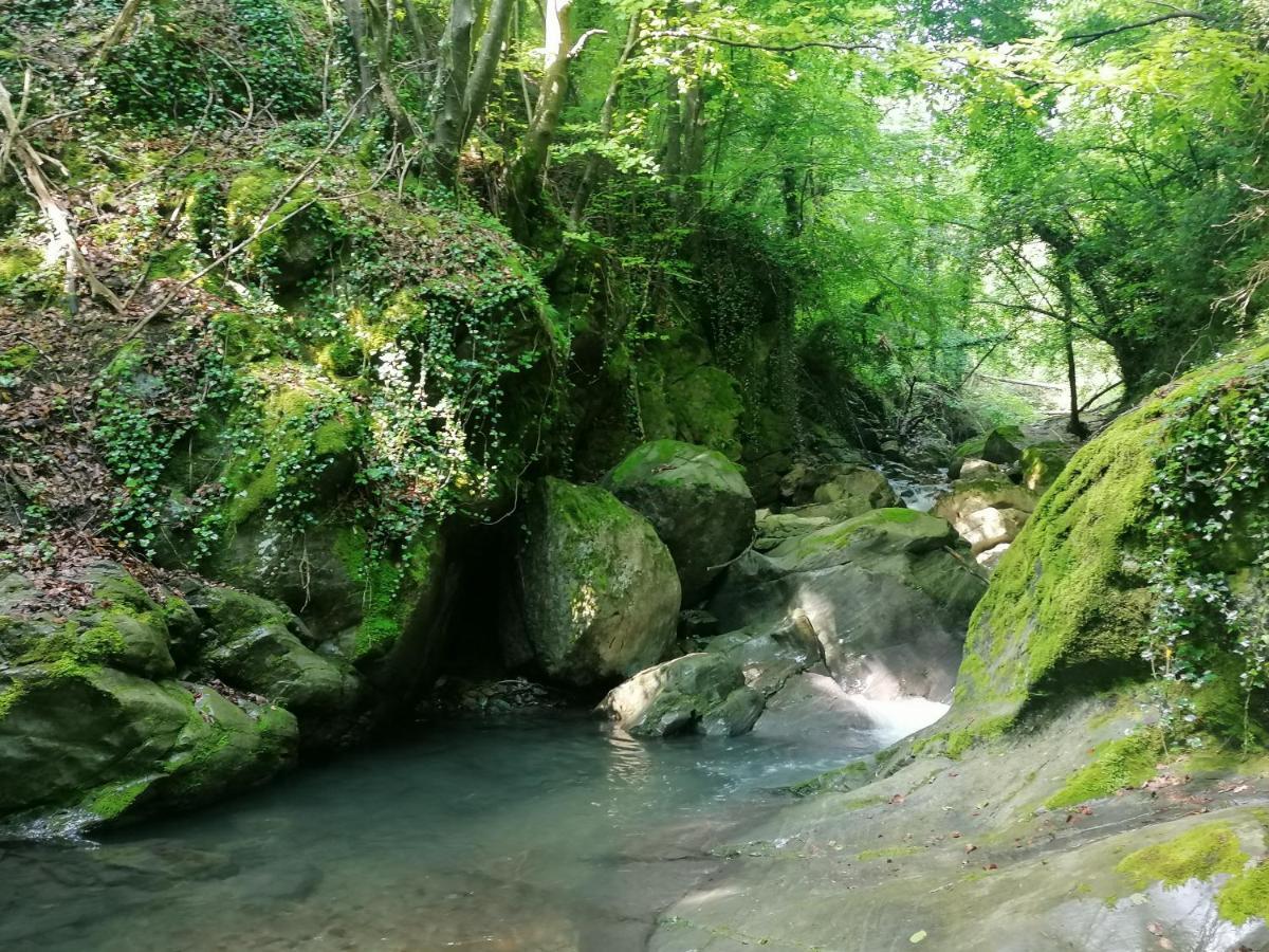 Les Pedres Camprodon Exterior foto