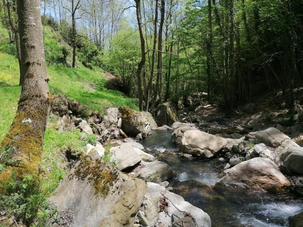Les Pedres Camprodon Exterior foto