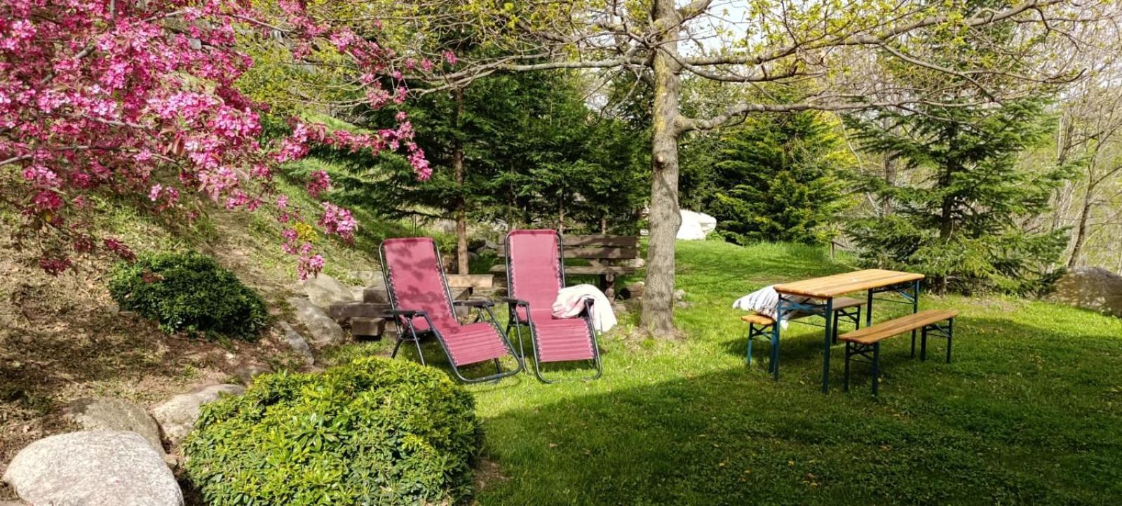 Les Pedres Camprodon Exterior foto